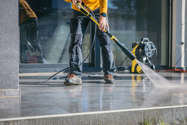 Best Driveway Pressure Washing  in Lake In The Hls, IL